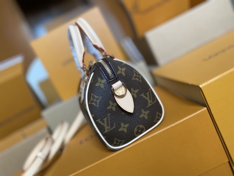 LV Speedy Bags